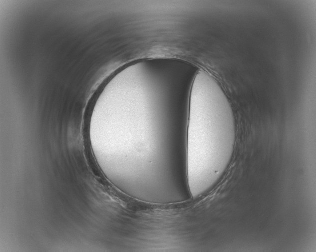 X0000062600292200512210918
