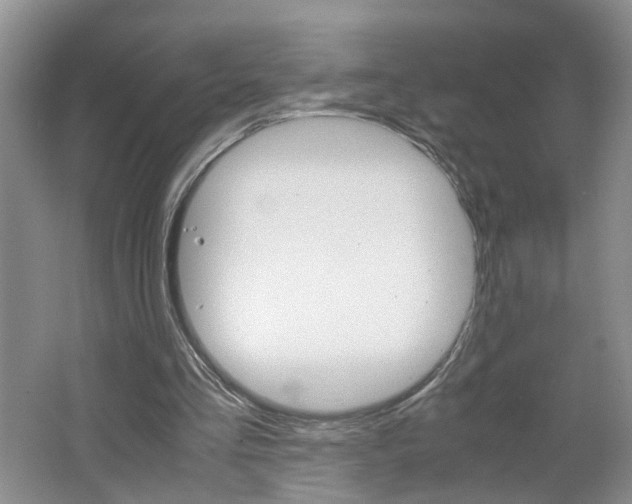 X0000062600293200512210918