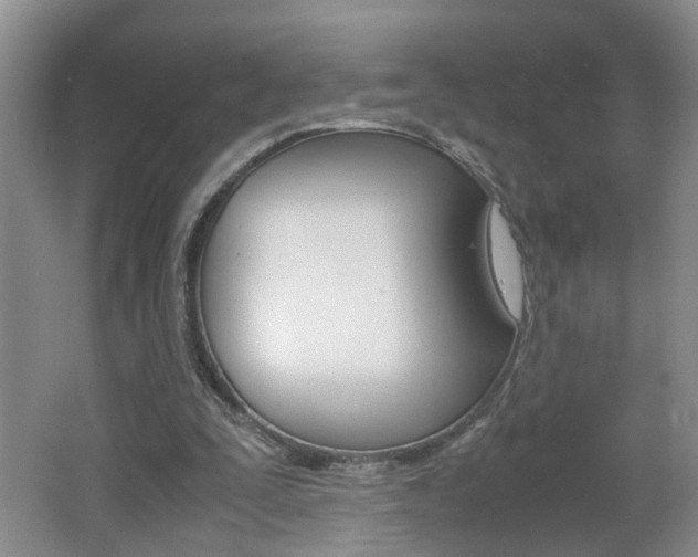 X0000062600295200512210918