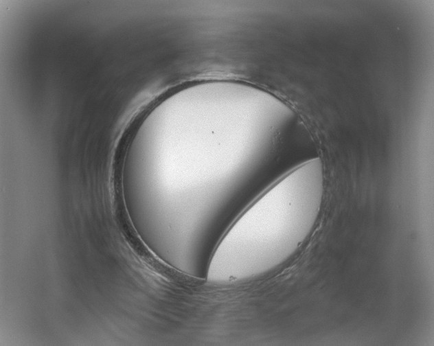 X0000062600296200512210918