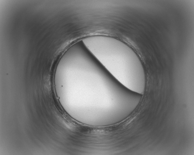 X0000062600298200512210918