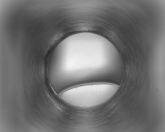 X0000062600304200512210918