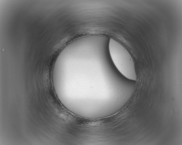 X0000062600306200512210917