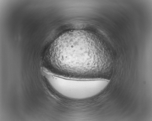 X0000062600307200512210917
