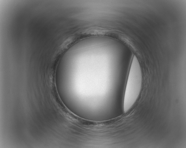 X0000062600309200512210917