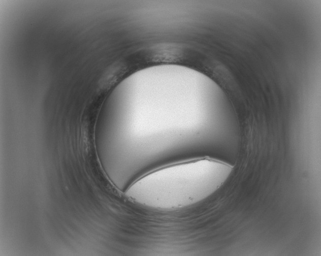 X0000062600312200512210917