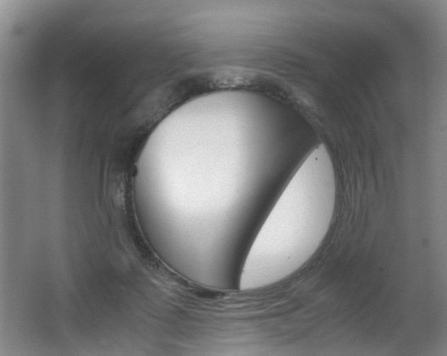 X0000062600315200512210917