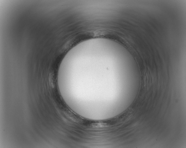 X0000062600316200512210917