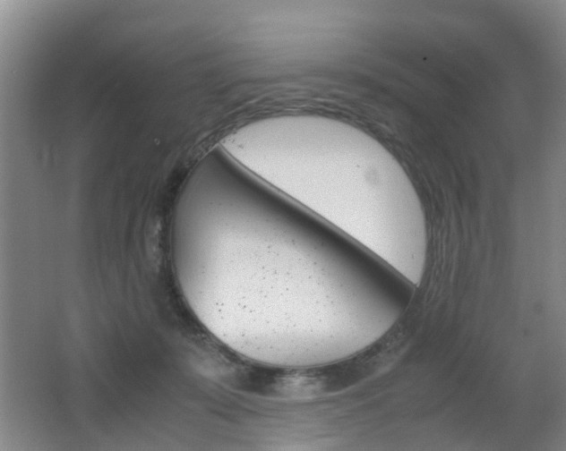 X0000062600319200512210917