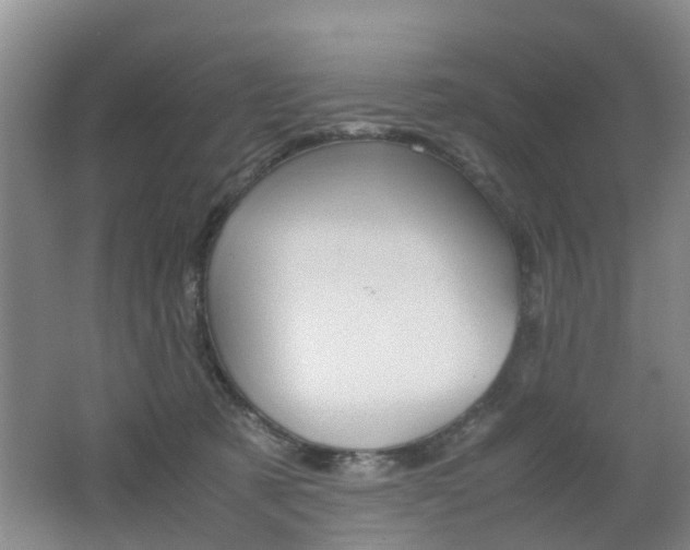 X0000062600321200512210917