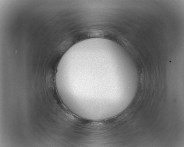 X0000062600322200512210917