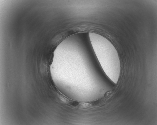X0000062600333200512210917