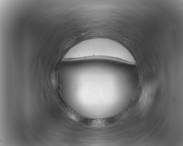 X0000062600335200512210917