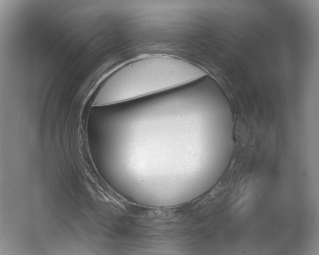 X0000062600338200512210916