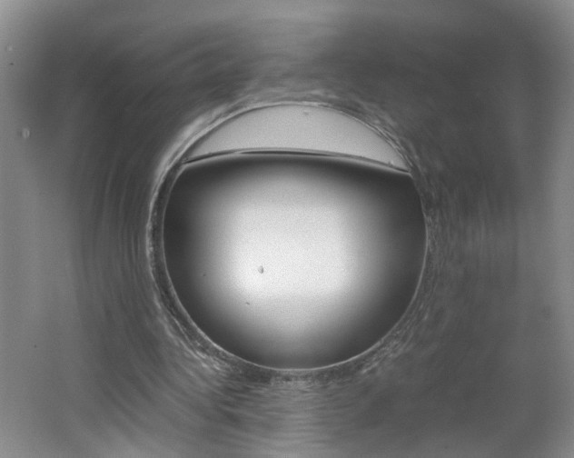 X0000062600340200512210916