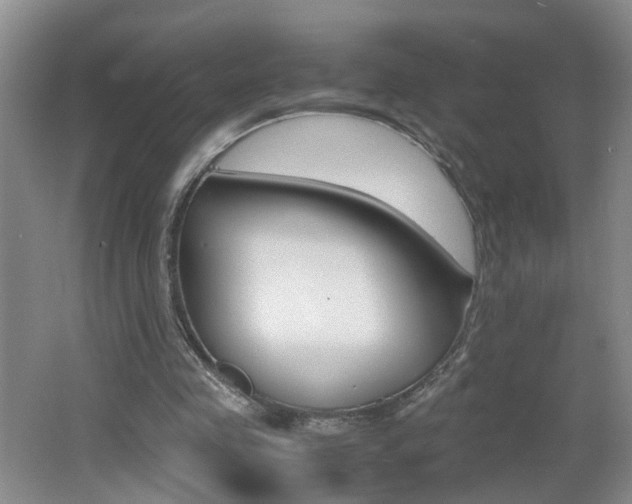 X0000062600341200512210916