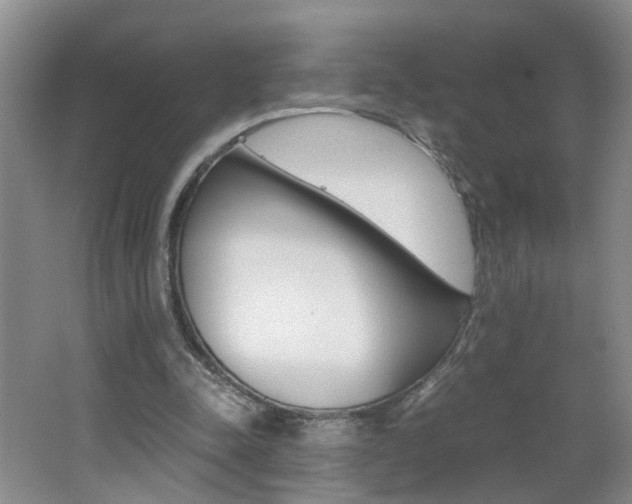 X0000062600342200512210916