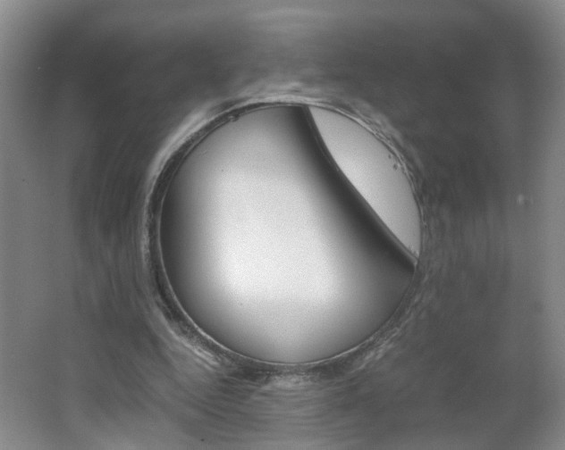 X0000062600344200512210916