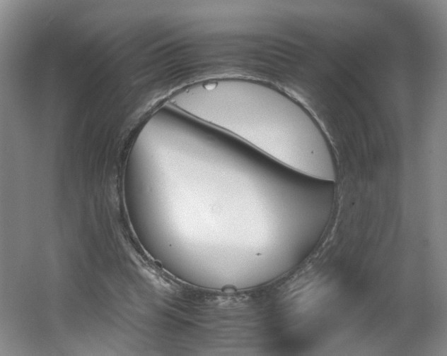 X0000062600345200512210916
