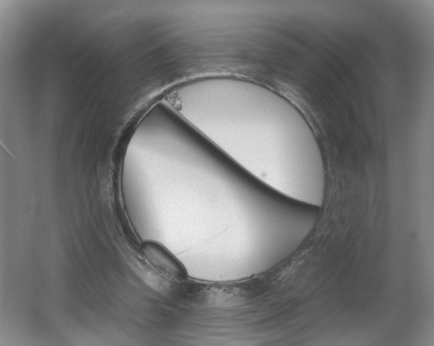 X0000062600346200512210916