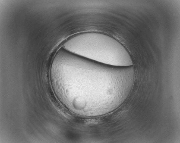 X0000062600347200512210916