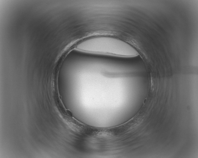 X0000062600348200512210916