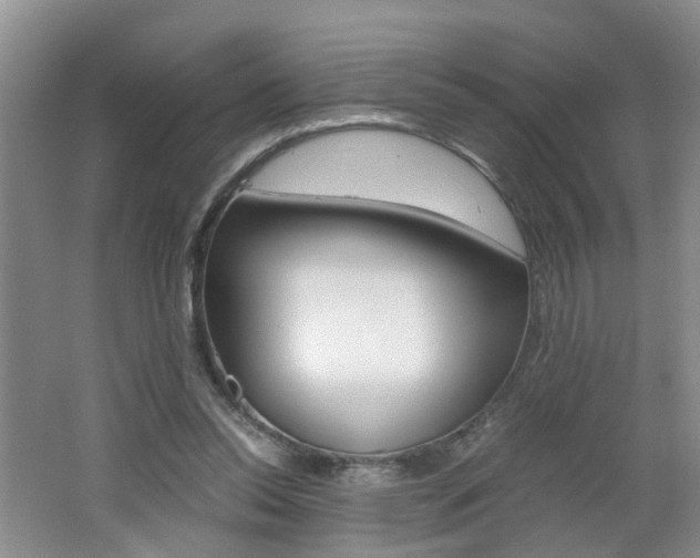 X0000062600350200512210916