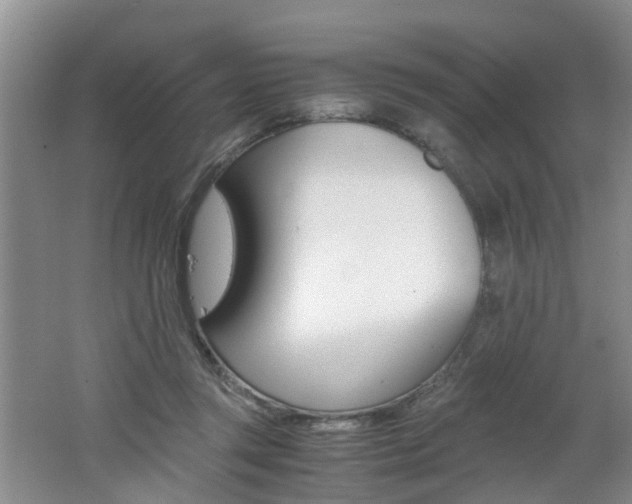 X0000062600357200512210916