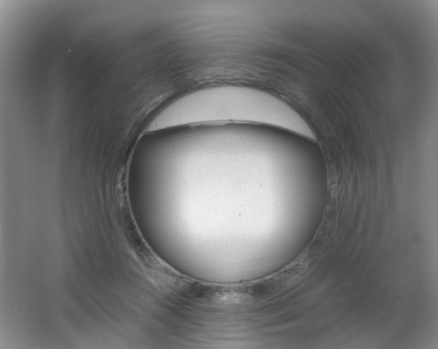 X0000062600360200512210917