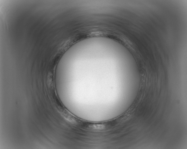 X0000062600361200512210917