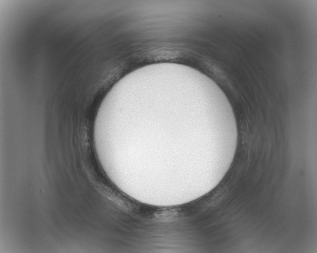 X0000062600362200512210917
