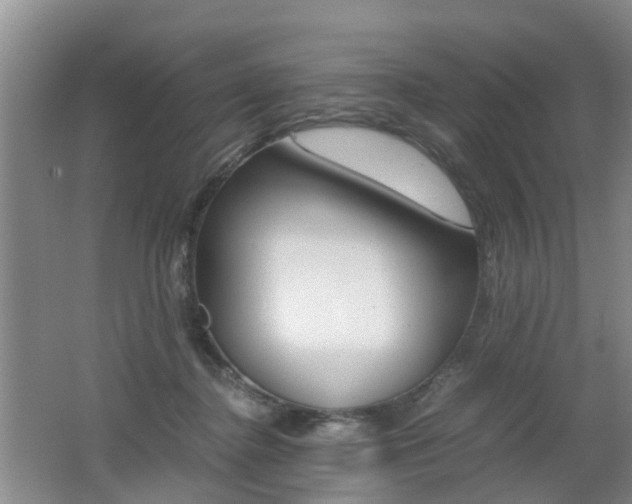 X0000062600364200512210917