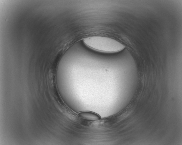 X0000062600366200512210917