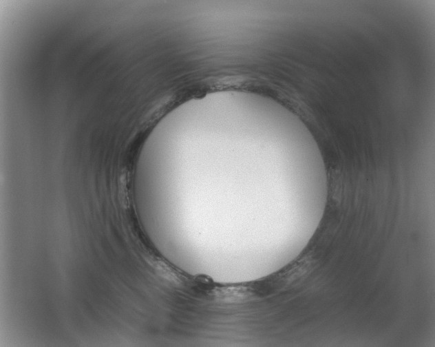 X0000062600378200512210917