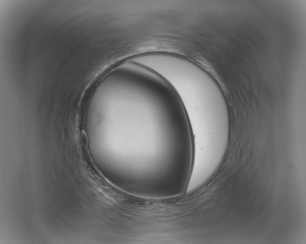 X0000062600387200512210916