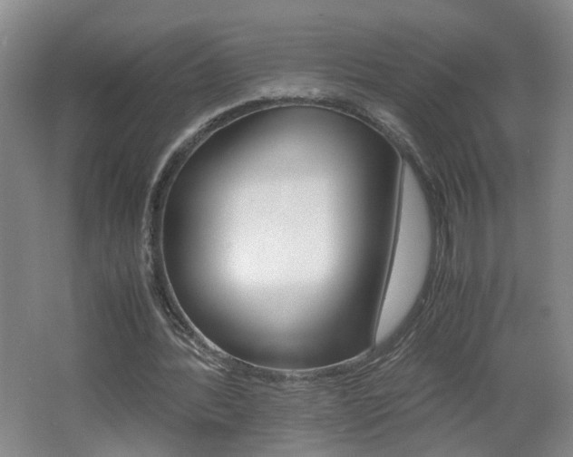 X0000062600388200512210916