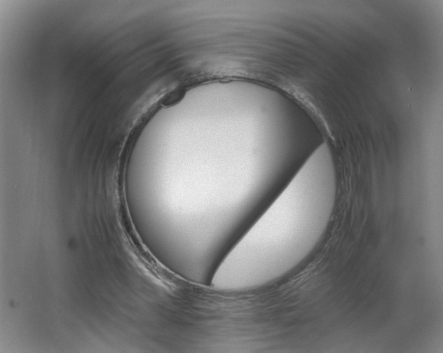 X0000062600390200512210916