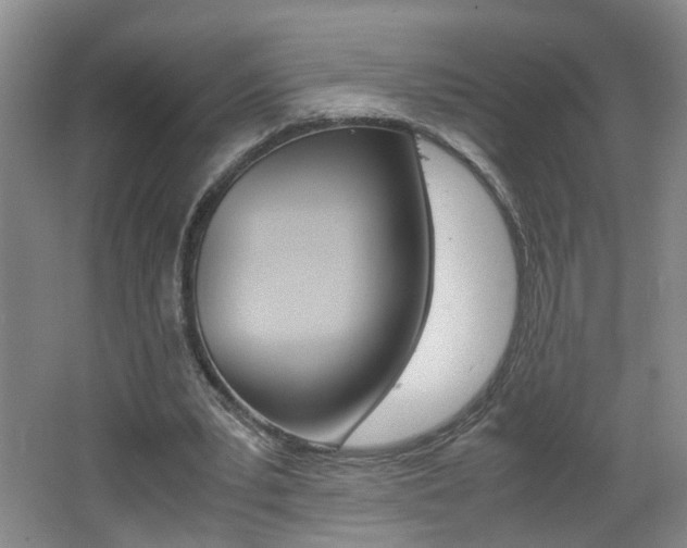X0000062600391200512210916