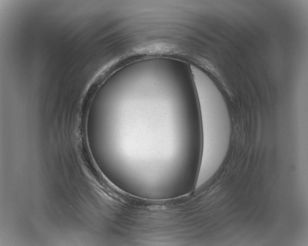 X0000062600392200512210916