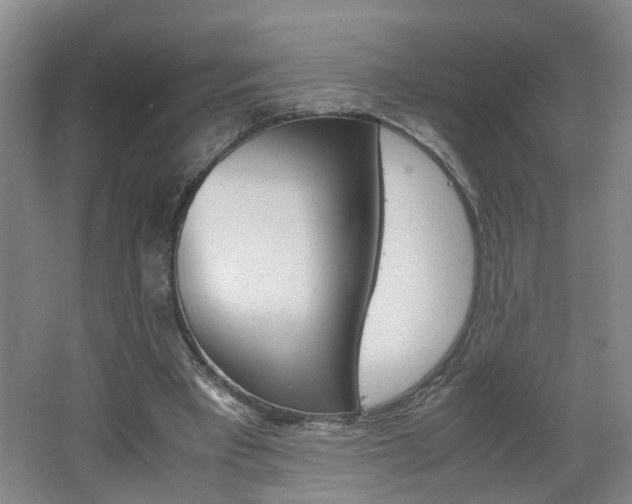 X0000062600393200512210916