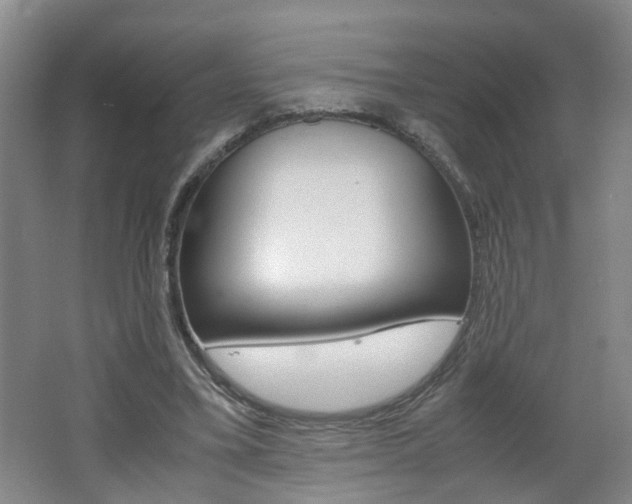 X0000062600395200512210916
