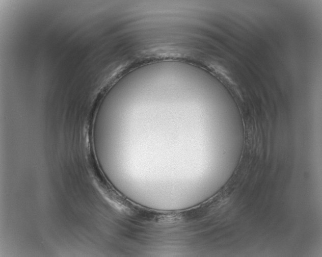 X0000062600398200512210916