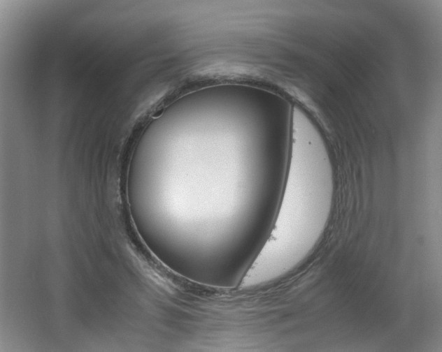 X0000062600399200512210916