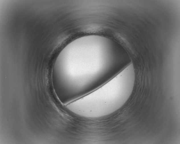 X0000062600400200512210916
