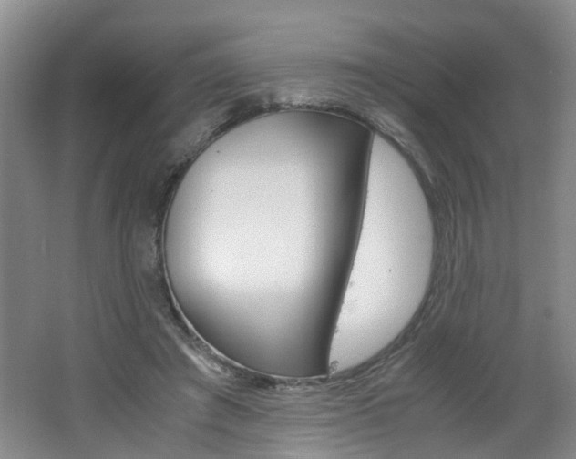 X0000062600401200512210916