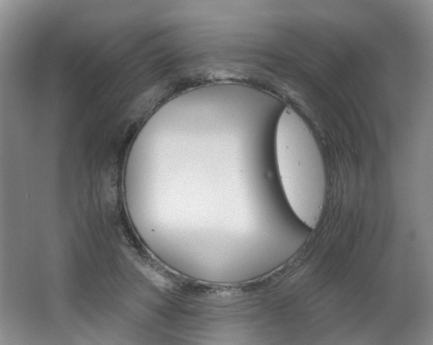 X0000062600402200512210916