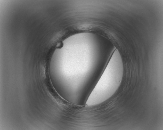 X0000062600404200512210916