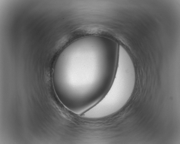 X0000062600407200512210916