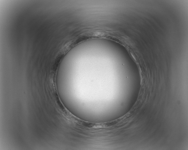 X0000062600415200512210916