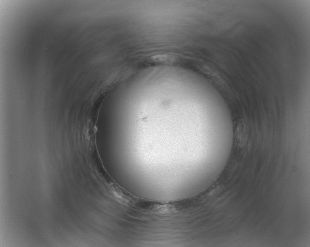 X0000062600424200512210915